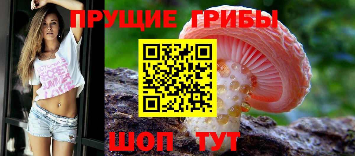 дарнет шоп  Вход с VPN  Псилоцибиновые грибы прущие грибы  Лениногорск  Псилоцибиновые грибы ЛСД 
